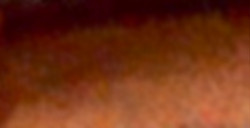 MIJELLO ACUARELA ARTIST MISSION GOLD CLASS VAN DYKE BROWN DEEP (PBR29 - LF.5 - SEMI OPAQUE ) SERIE B Nº 617