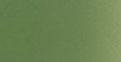 SENNELIER EXTRA FINE GOUACHE SAP GREEN SERIES 1 NO. 819