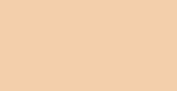 MANLEY SCATOLA 12 PASTELLI A CERA IN COLORE CARNE N. 33