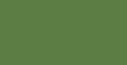 MANLEY SCATOLA 12 PASTELLI A CERA IN COLORE VERDE NATURALE N. 21