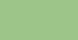 MANLEY SCATOLA 12 PASTELLI A CERA IN COLORE VERDE GIALLASTRO N. 22
