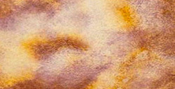 WHITE NIGHTS ACQUERELLO GODET INTERO COLORI GRANULATI - MORNING BRUME SERIE A N. 279