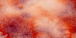WHITE NIGHTS ACQUERELLO GODET INTERO COLORI GRANULATI - EVENING BRUME SERIE A N. 3001