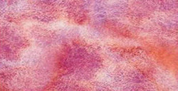 WHITE NIGHTS ACQUERELLO GODET INTERO COLORI GRANULATI - ROSE DREAM SERIE A N. 3002