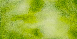 WHITE NIGHTS ACQUERELLO GODET INTERO COLORI GRANULATI - GREEN DREAM SERIE A N. 777