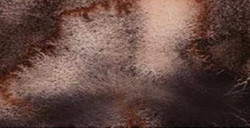 WHITE NIGHTS ACQUERELLO GODET INTERO COLORI GRANULATI - BLACK MYSTERY SERIE A N. 467