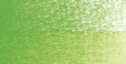 HOLBEIN WATERCOLOR PENCIL PERMANENT GREEN NO. 1 Nº 66