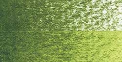 HOLBEIN WATERCOLOR PENCIL MATITA ACQUERELLABILE SAP GREEN N. 75