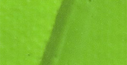 PÉBÉO ORIGIN ACRYLICS COLORI ACRILICI AD ALTA VISCOSITÀ - FLUORESCENT GREEN