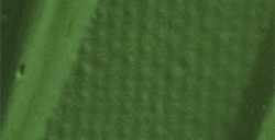 PÉBÉO ORIGIN ACRYLICS COLORI ACRILICI AD ALTA VISCOSITÀ - PERMANENT LIGHT GREEN