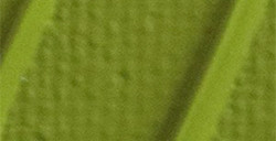 PÉBÉO ORIGIN ACRYLICS COLORI ACRILICI AD ALTA VISCOSITÀ - OLIVE LIGHT GREEN