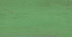 SENNELIER PASTELLSTIFT MOSS GREY GREEN NR. 173