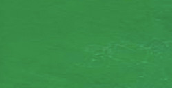 SENNELIER MATITA PASTELLO FOREST GREEN N. 913