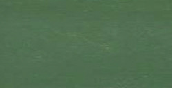 SENNELIER PASTEL PENCIL LEAF GREEN NO. 199