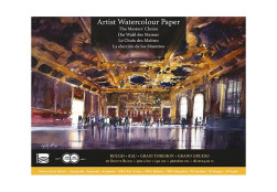 BAOHONG MASTERS' CHOICE BLOC AQUARELLE 20 FEUILLES 300 G 46 X 61 CM - GRAIN TORCHON - ÉDITION AMANDA HYATT