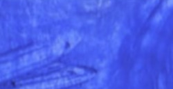 R&F DRAWING OILS - STICK DI OLIO COBALT BLUE