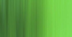 WINSOR & NEWTON COLORI AD OLIO WINTON FLUORESCENT GREEN N. 458