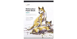 ETCHR WATERCOLOUR PAPER BLOCK COLD PRESSED - BLOCCO PER ACQUERELLO 350 G 100% COTONE COLLATO 4 LATI (20 FOGLI) - GRANA FINE