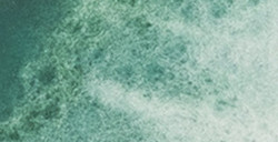 RENESANS INTENSE WATER AQUARELLE EXTRA-FINE TUBE - VERT DE COBALT FONCÉ Nº 43