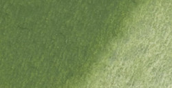 RENESANS WATERCOLOURS HALF PAN CHROMIUM OXIDE GREEN NO. 33