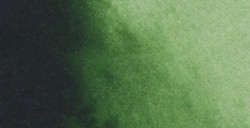 RENESANS WATERCOLORS ACUARELA MEDIO GODET HOOKER'S GREEN Nº 35