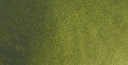 RENESANS WATERCOLOURS ACQUERELLO MEZZO GODET SAP GREEN N. 37