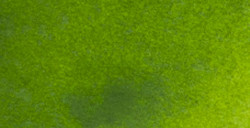 RENESANS WATERCOLOURS AQUARELLFARBE HALBES NÄPFCHEN CINNABAR GREEN DEEP NR. 38