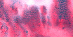 AQUARIUS ROMAN SZMAL EXTRA FINE WATERCOLOR - JULY 2026 - LIMITED EDITION