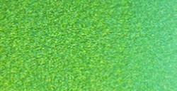 HOLBEIN ACQUERELLO ARTISTS' PEARL IN TUBETTO PEARL GOLD GREEN