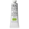 WINSOR & NEWTON ARTISTS' COLORI AD OLIO DI QUALITÀ SUPERIORE