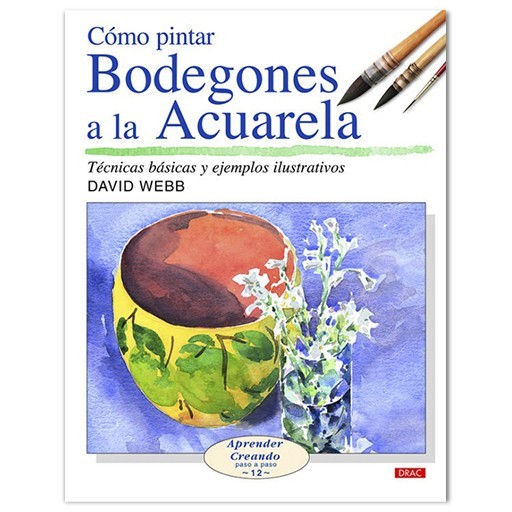 LIBRO (IN SPAGNOLO) - COMO PINTAR BODEGONES A LA ACUARELA