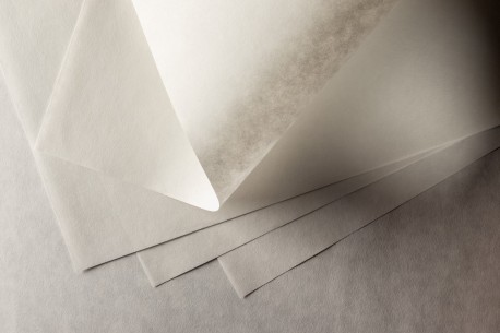 Papeles para conservación