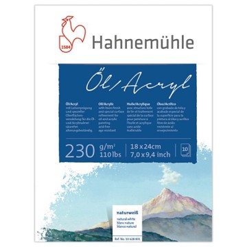 HAHNEMÜHLE BLOCCO CARTONCINO PER OLIO E ACRILICO 230 G
