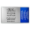 ACUARELA WINSOR & NEWTON PROFESSIONAL ARTISTS GODETS