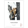 HAHNEMÜHLE DIGITAL GERMAN ETCHING 310 G/M²