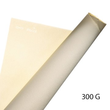 ARCHES VELIN BFK RIVES CARTA PER STAMPA D'ARTE 80 X 120 CM 300 G