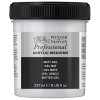 WINSOR & NEWTON PROFESSIONAL ACRYL-MALMITTEL MATTES GEL NR. 439
