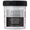 WINSOR & NEWTON PROFESSIONAL ACRYLIC MEDIUM MODELLING PASTE NO. 460