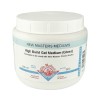 OLD HOLLAND NEW MASTERS HIGH BUILD GEL MEDIUM GLÄNZEND