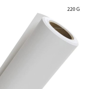 CANSON THE WALL ROTOLO CARTA 220 G