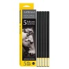 NITRAM PACK OF 5 ROUND MEDIUM CHARCOAL STICKS (8 MM)