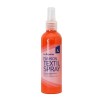 LA PAJARITA FASHION TEXTIL SPRAY - PINTURA PARA TELA EN SPRAY