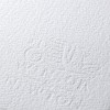 WINSOR & NEWTON PROFESSIONAL PAPIER POUR AQUARELLE 100 % COTON 300 G