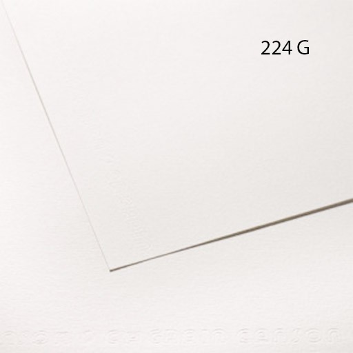 CANSON C À GRAIN CARTA DA DISEGNO GRANA FINE 224 G