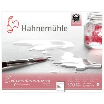HAHNEMÜHLE EXPRESSION WATERCOLOUR BLOCCO PER ACQUERELLO 100% COTONE 300 G