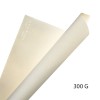 ARCHES VELIN BFK RIVES ROTOLO CARTA PER STAMPA D'ARTE 300 G