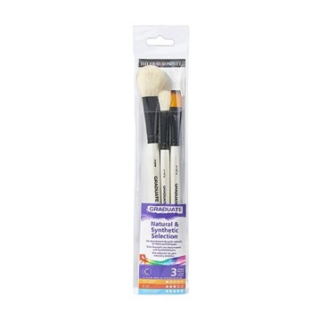 DALER ROWNEY GRADUATE SET 2 PENNELLESSE PELO NATURALE E 1 PENNELLO FIBRA SINTETICA MANICO CORTO