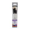 DALER ROWNEY GRADUATE SET OF 4 BRISTLE HAIR BRUSHES SHORT HANDLE