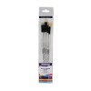 DALER ROWNEY GRADUATE SET OF 5 BRISTLE HAIR BRUSHES LONG HANDLE