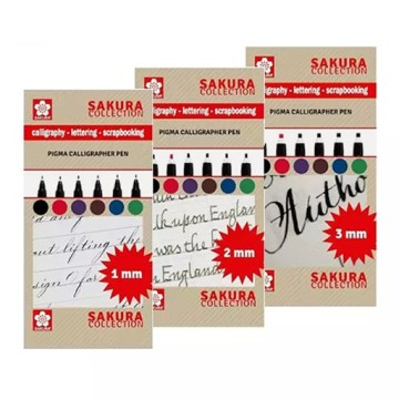 SAKURA PIGMA CALLIGRAPHER PEN SET 6 PENNARELLI